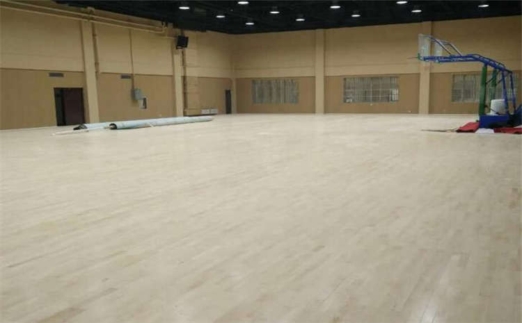 專業的運動籃球地板圖片及價格