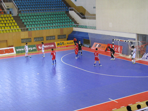 體育木地板 體育木地板