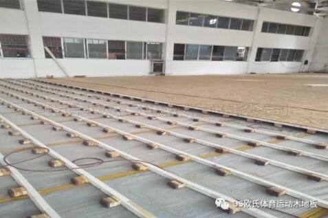 廣東YBDL江門 HOOP PARK籃球公園成功案例 廣東YBDL江門 HOOP PARK籃球公園成功案例